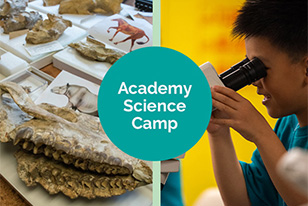 Two images, one image with fossils and images of the animals from the fossils and a child looking through a microscope. In the middle, there is a teal circle with text that says "Academy Science Camp".